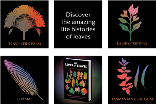 leaves.jpg