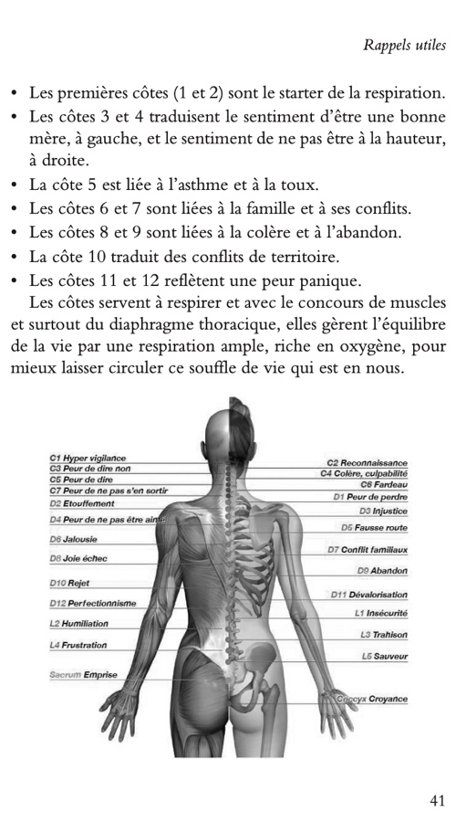 fascia 3.jpg