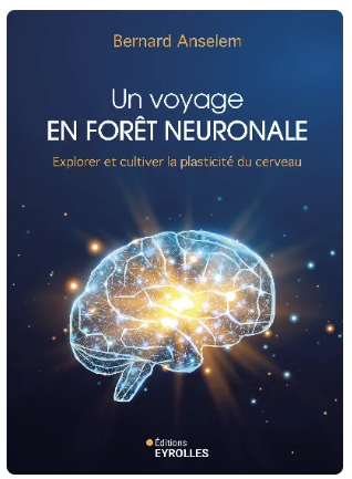 神經的森林：探索和培養大腦可塑性