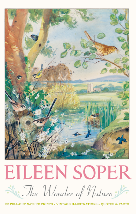 英国经典插画家 Eileen Soper 作品推荐